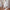 Damen weite Faltenhose WW