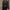 Damen Bikerjacke aus Kunstleder WW