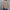 Damen Bluse mit asymmetrischem Kragen und Knopfdetails WW