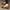 Damen elegante Blockabsatz-Ballerinas aus weichem Leder W&W