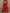 Damen enganliegendes Minikleid mit praktischem Taillenzug und strukturiertem Stoff WW