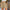 Damen elegante Stoffshorts mit hohem Bund und seitlichen Eingrifftaschen WW