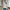 Damen Strickjacke mit verspieltem Erdbeermotiv und Knopfdetails WW