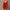 Damen elegantes Minikleid mit tiefem V-Ausschnitt und Rüschendetails W&W
