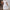 Damen A-Linien Kleid mit Spitzenmuster WW