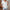 Damen Bluse mit dekorativem Lochmuster und elegantem V-Ausschnitt WW