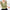 Damen V-Ausschnitt Satinbluse WW