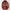 Damen Strickjacke mit geometrischem Muster und breitem Kragen WW