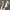 Damen Elegante Plateau-Pumps mit verstellbarem Riemen W&W