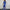 Damen Sportliches Trainingsanzug-Set mit cropped Jacke und Jogginghose WW