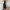 Damen Eleganter Jumpsuit mit weitem Bein und taillierbarem Gürtel WW