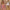Damen Glitzernder Blazer mit Paillettenbesatz und elegantem Schnitt WW