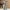 Damen Bequemes und stylisches Lounge-Set mit cropped Jacke WW