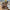 Damen Strickweste mit kontrastierenden Details und Taschen WW
