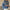Damen Strickpullover mit traditionellem Norwegermuster WW