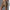 Damen Rad-Shorts mit hohem Bund und praktischen Seitentaschen WW