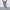 Herren Camouflage Jogginghose mit verstellbarem Bund und bequemem Schnitt WW