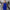 Damen All-in-One Jumpsuit mit tiefem Ausschnitt und figurbetontem Schnitt WW