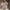 Damen Ärmelloses Blusenkleid mit floralem Design und raffiniertem Schleifenverschluss WW