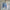 Damen angesagter V-Ausschnitt Pullover mit Raffung WW