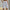 Damen sportliche Shorts mit elastischem Bund und seitlichen Taschen WW