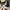 Damen Slingback-Pumps mit elegantem Stoffmix und modischem Absatz W&W