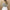 Damen Glitzernder Blazer mit Paillettenbesatz und elegantem Schnitt WW