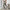 Damen weite Plisseehose mit elastischem Bund und modischem Muster WW