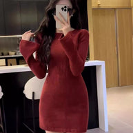Damen Strickkleid mit figurbetonter Silhouette und stylischem Rollkragen WW