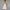 WW | Mini Cocktailkleid Schulterfreies Abendkleid Mit Schleifendetail