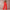 Damen eleganter Jumpsuit mit tiefem V-Ausschnitt und weitem Bein WW