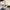 Damen Slingback-Pumps mit elegantem spitzem Design und komfortablem Absatz W&W