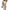 Damen bequeme und stylische Sweatshirt-Hose-Kombination WW