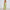 Damen Maxikleid mit hohem Schlitz und eleganter Raffung WW