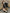 WW | Einfarbige Lederjacke