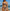 Damen Bandeau-Bikini mit verstellbaren Trägern und animalischem Muster WW