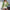 Damen Strickjacke mit floralen Applikationen WW
