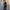 Damen cropped Lounge-Set mit enger Passform und modischen Akzenten W&W