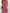 Damen Kurzarm Kleid mit floralem Design und bequemem Schnitt WW