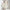 Damen Abendkleid mit elegantem Schnitt und schwingendem Rock WW