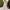 WW | Bedrucktes Langarmloses Spaghettiträgerkleid mit großem Saum
