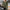 Damen Baumwollpullover mit lässigem Oversized-Schnitt WW