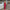 Damen Langarm Maxikleid mit elegantem und figurbetontem Design W&W