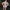 WW | Figurbetontes durchscheinendes Paillettenkleid Jumpsuit