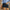 Damen entspannte Denim-Shorts mit modischen Abrieb-Details WW