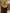 Damen Strickpullover mit V-Ausschnitt und Zopfmuster WW
