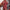 Damen Strickkleid mit festlichem Weihnachtsmotiv und weitem Rundhalsausschnitt WW