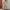 Damen Jumpsuit mit weitem Bein und elastischem Taillenzug WW