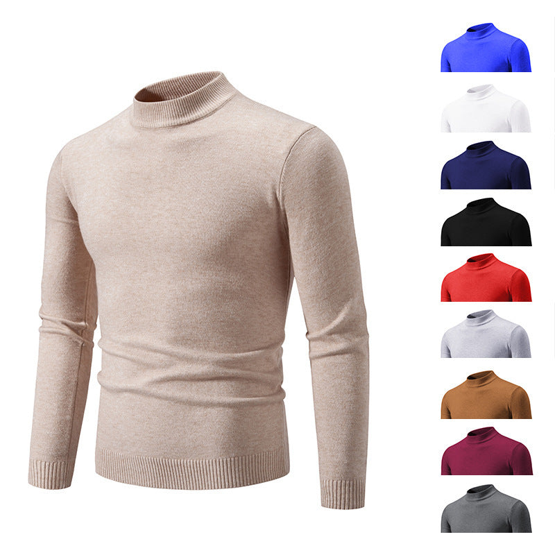 Herren Rollkragenpullover aus weichem Strickmaterial WW