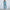 Damen sportliches Fleece-Set mit hohem Kragen WW